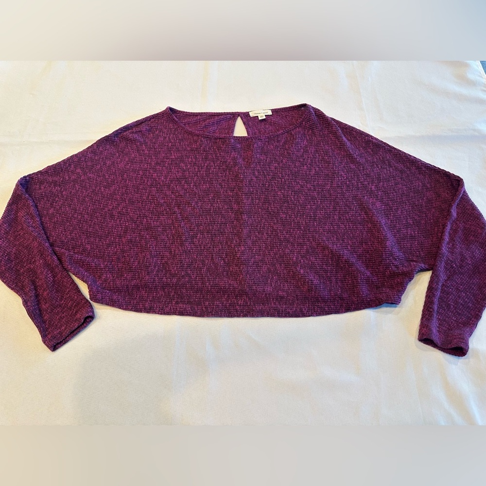 Silence + Noise Purple Crop Top with Keyhole Cutout on Back Size Large